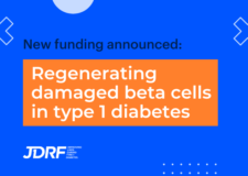 Regenerating damaged beta cells in type 1 diabetes: new funding announced