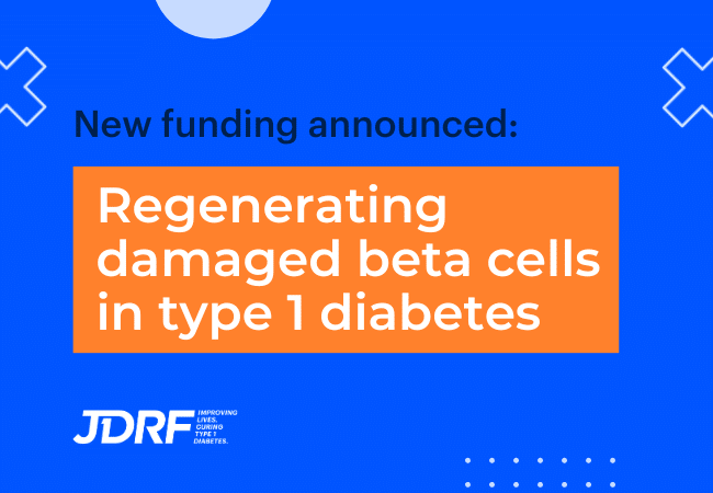 Regenerating damaged beta cells in type 1 diabetes: new funding announced